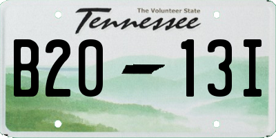 TN license plate B2013I