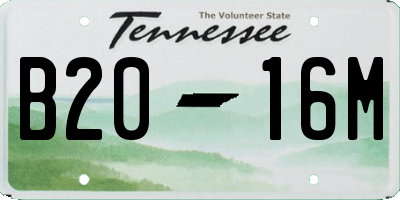 TN license plate B2016M