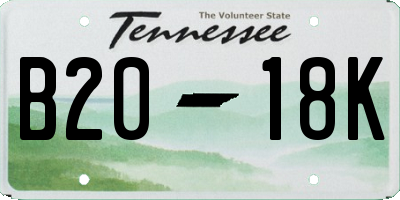 TN license plate B2018K
