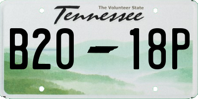 TN license plate B2018P