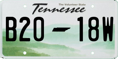TN license plate B2018W