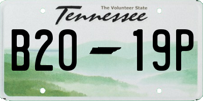 TN license plate B2019P