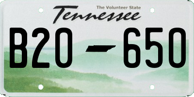 TN license plate B2065O