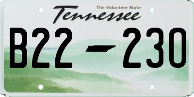 TN license plate B2223O