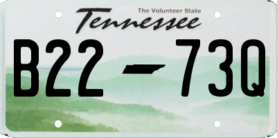 TN license plate B2273Q