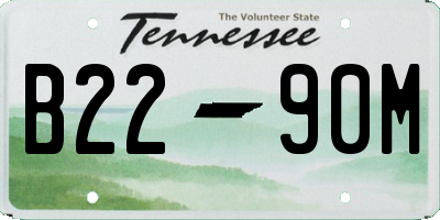 TN license plate B2290M