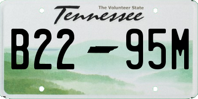 TN license plate B2295M