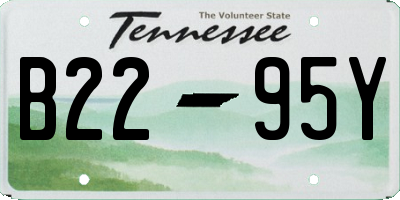 TN license plate B2295Y