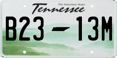 TN license plate B2313M