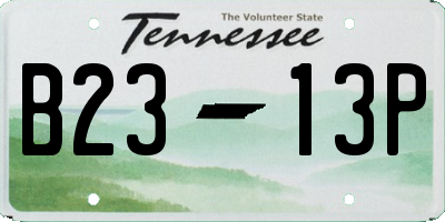 TN license plate B2313P