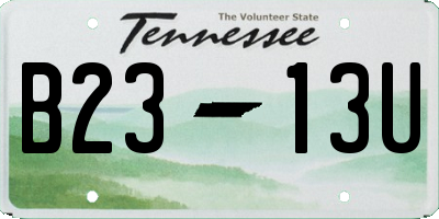 TN license plate B2313U