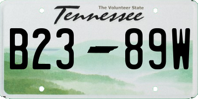 TN license plate B2389W