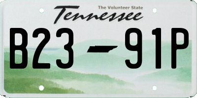 TN license plate B2391P