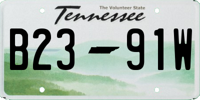 TN license plate B2391W
