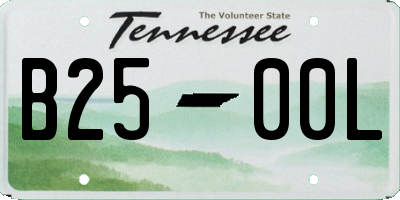 TN license plate B2500L