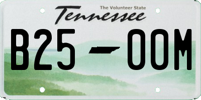 TN license plate B2500M