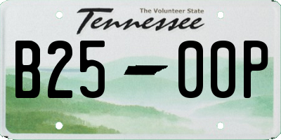 TN license plate B2500P