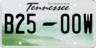 TN license plate B2500W