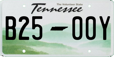 TN license plate B2500Y