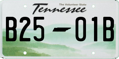 TN license plate B2501B