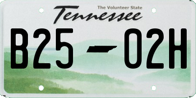 TN license plate B2502H