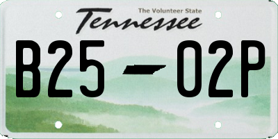 TN license plate B2502P