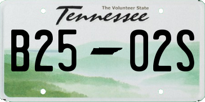 TN license plate B2502S