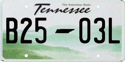 TN license plate B2503L