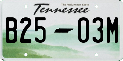 TN license plate B2503M