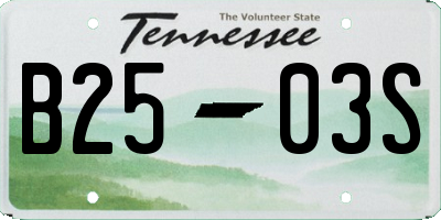 TN license plate B2503S