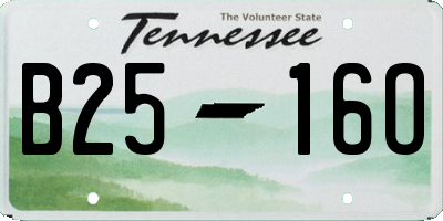 TN license plate B2516O