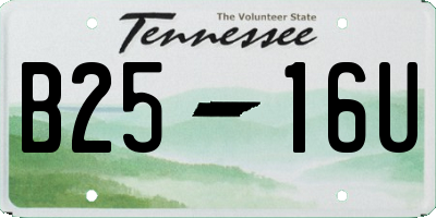 TN license plate B2516U