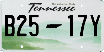 TN license plate B2517Y