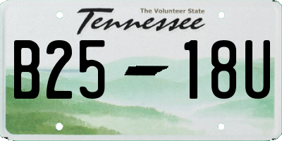 TN license plate B2518U