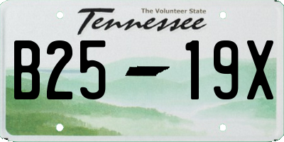 TN license plate B2519X