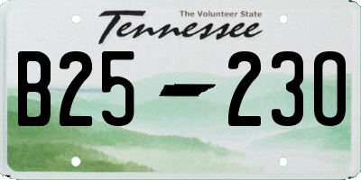 TN license plate B2523O
