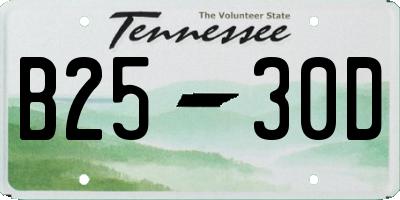 TN license plate B2530D
