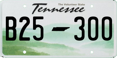 TN license plate B2530O