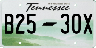 TN license plate B2530X