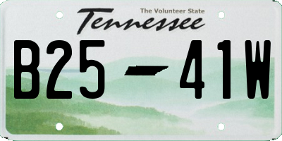 TN license plate B2541W
