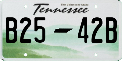 TN license plate B2542B