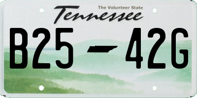 TN license plate B2542G