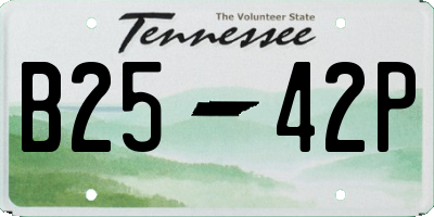 TN license plate B2542P