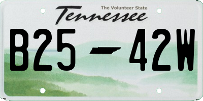 TN license plate B2542W