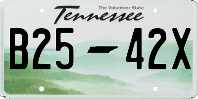 TN license plate B2542X