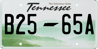 TN license plate B2565A