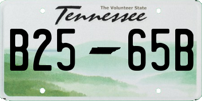 TN license plate B2565B