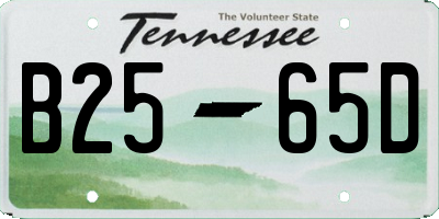 TN license plate B2565D
