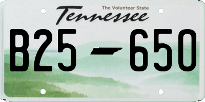TN license plate B2565O