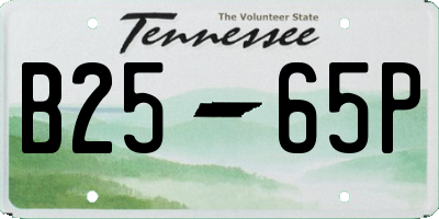 TN license plate B2565P
